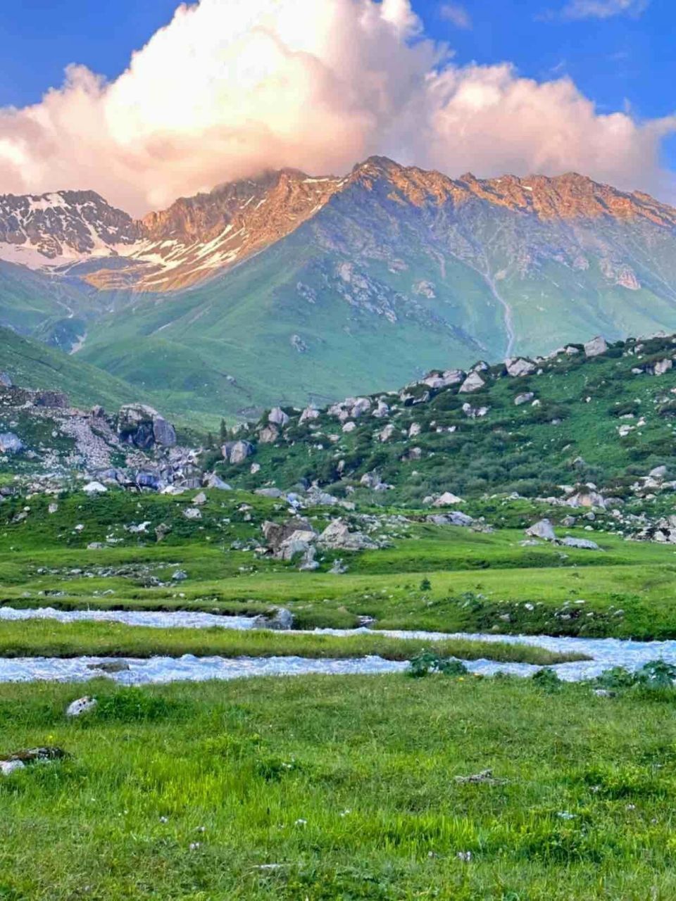 新疆|伊犁夏天的高光时刻!