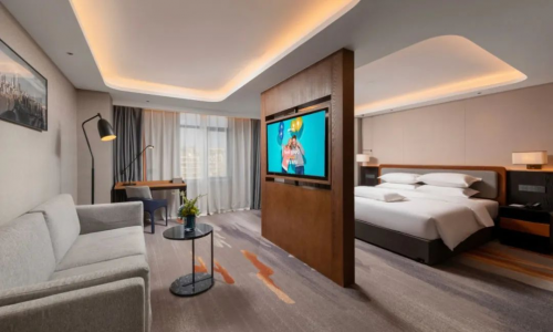 丽柏走进hfe大咖直播间,共话商务酒店投资加盟新春天