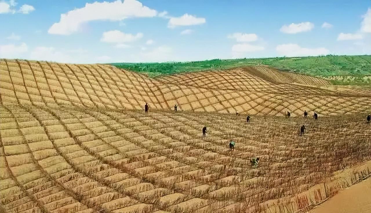 一天"吞"掉40亩沙漠?中国发明的"吞沙巨兽",已在甘肃使用