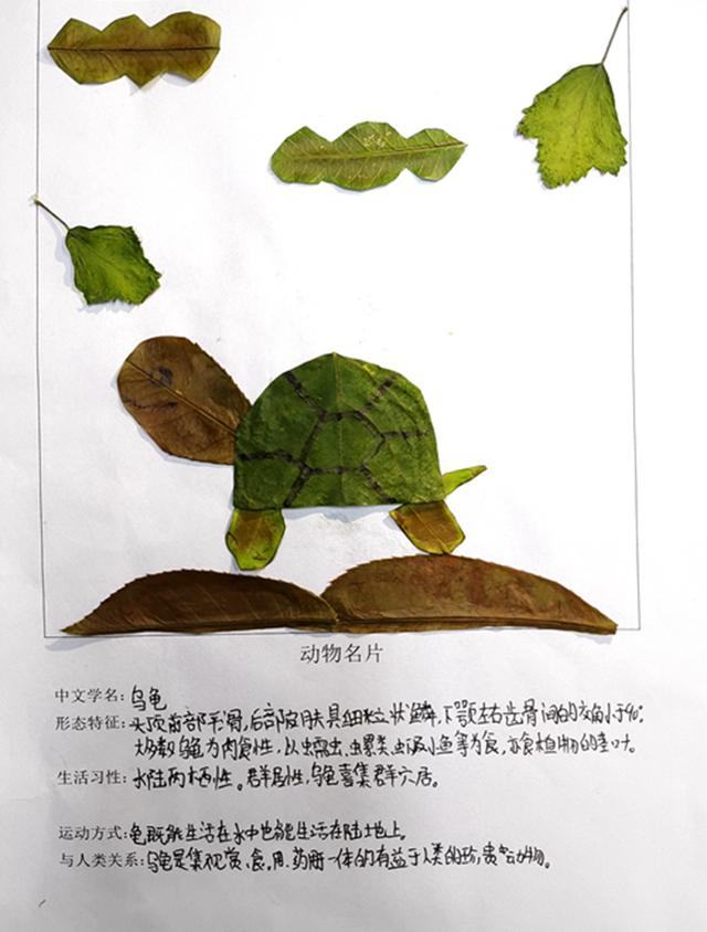 许昌市第六中学 双减新篇 特色实践作业 让居家学习趣味盎然