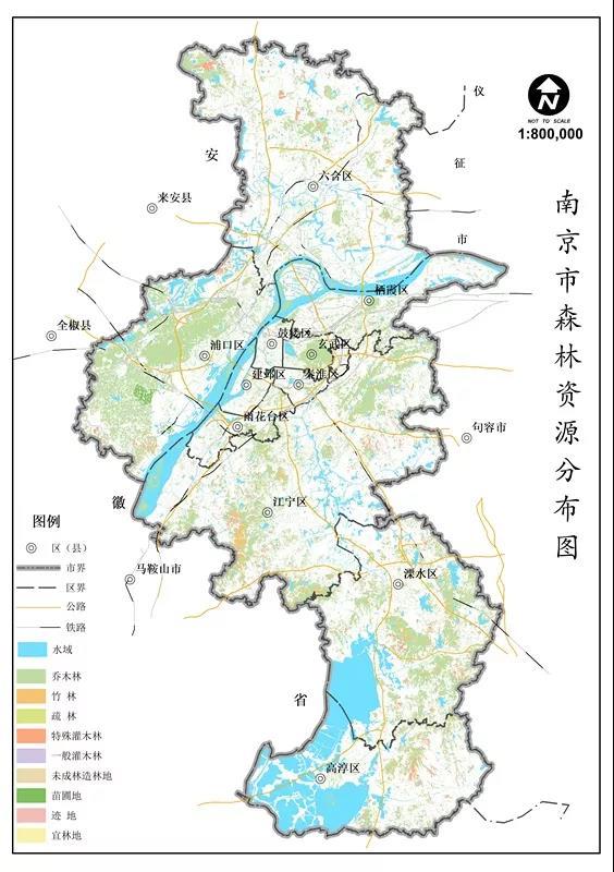 南京惊现野猪群集体"冬泳",哪里来的?它们究竟怕什么