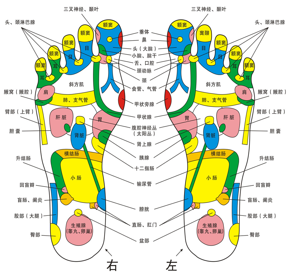 如何通过脚判断肝脏的健康,看这3个情况,就知道了
