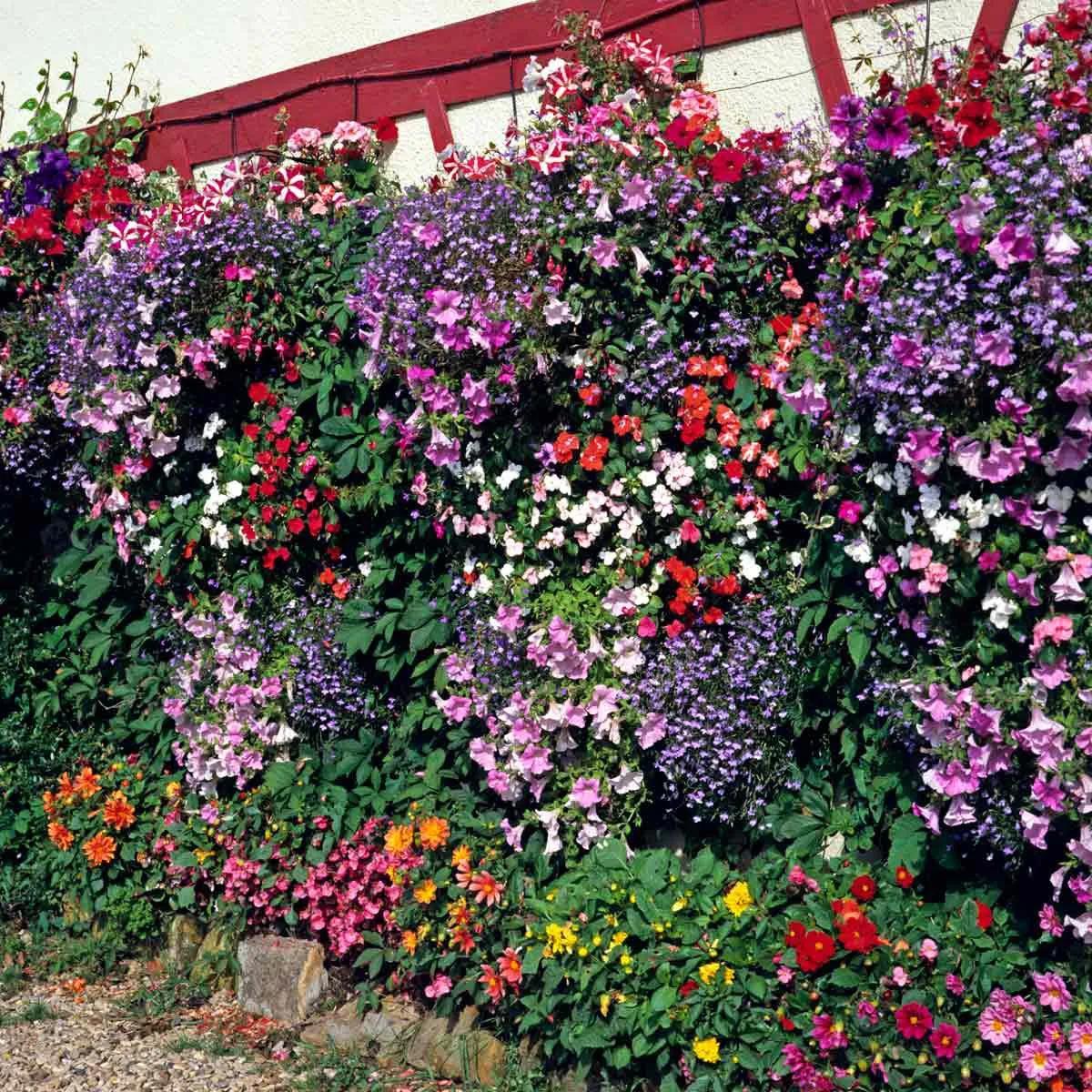 40个超美的春季花园景色,你最欣赏哪一个?