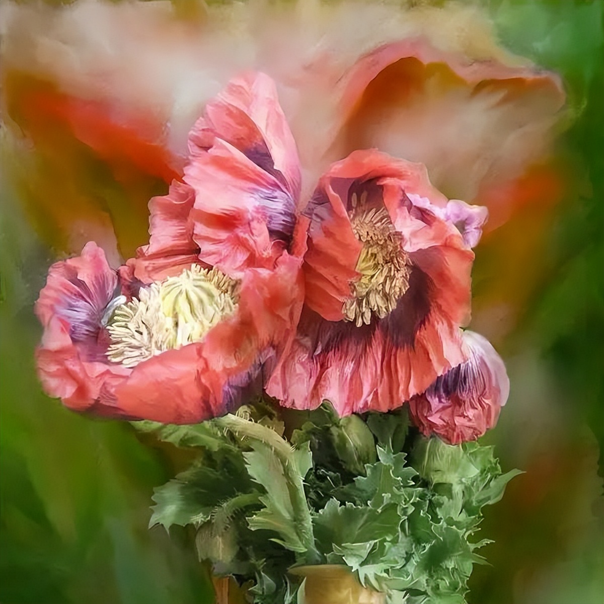 花形精致,色彩浓郁的写实唯美花卉作品︱carol cavalaris