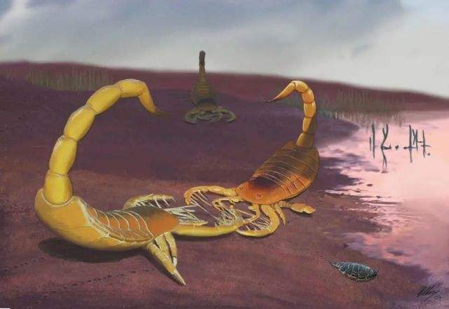 4.4亿年前,奥陶纪生物大辐射,巨壳支配下的海洋