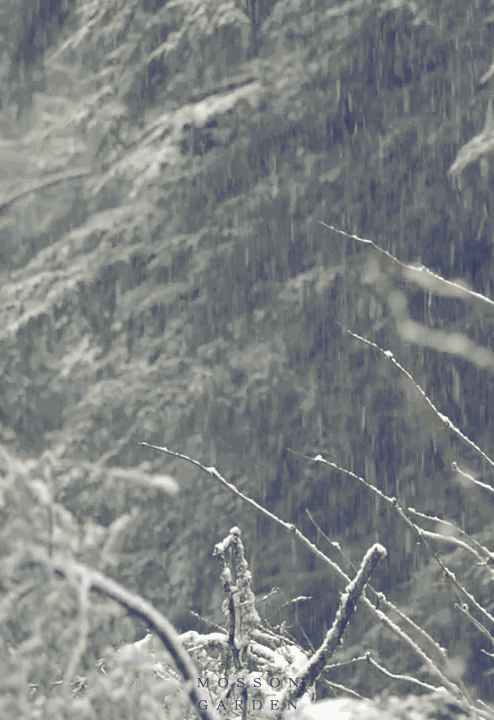 《望雪》|李世民这首经典的咏雪诗极美