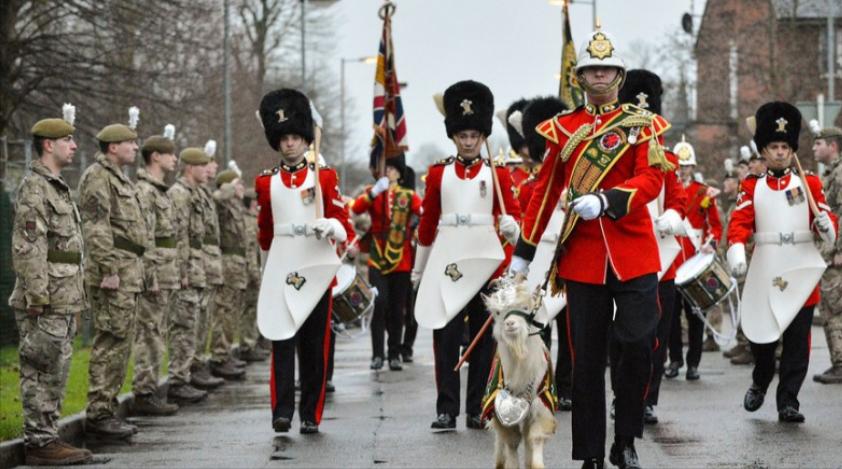 英国为什么没有皇家陆军称号 英国陆军为什么不是皇家的什么梗