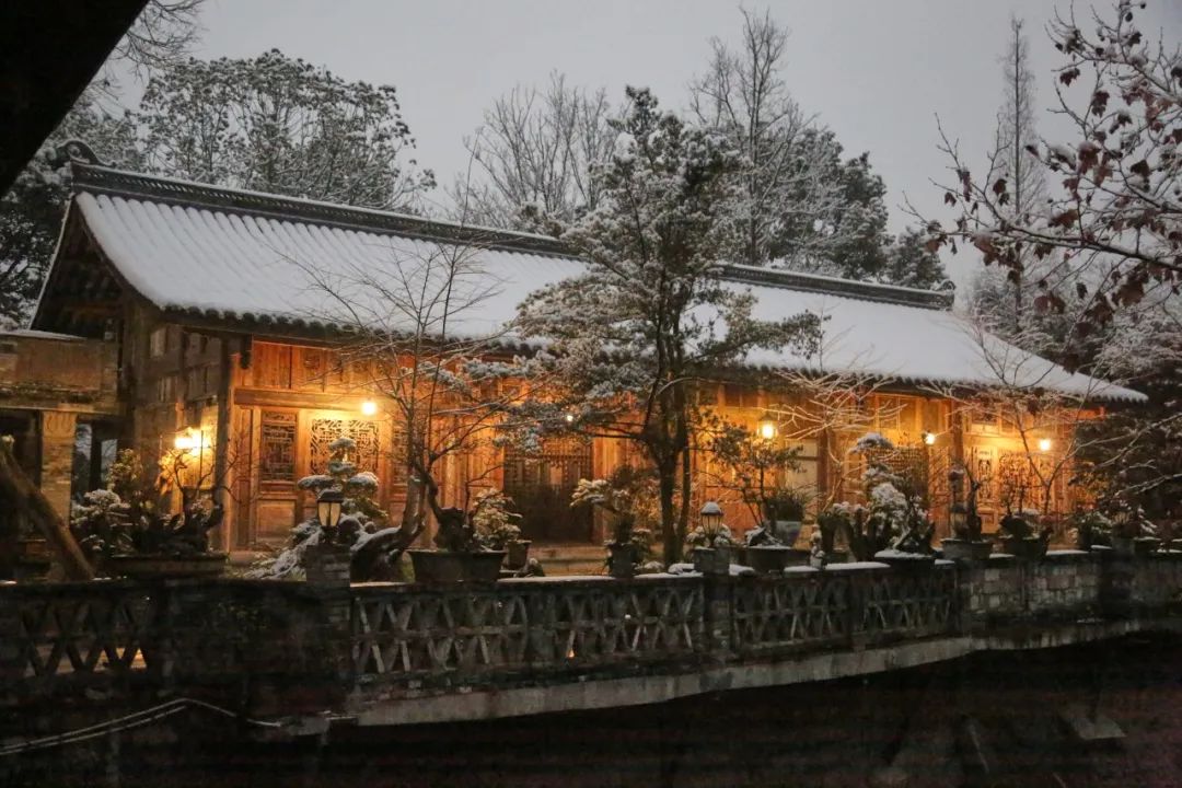 重访鹭鸟庄园:被媒体捧红后,继续孤独打造乐园