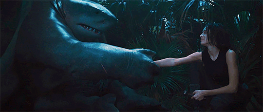 dc《自杀突击队:集结》团宠「鲨鱼王」5个可爱时刻!人气暴涨!