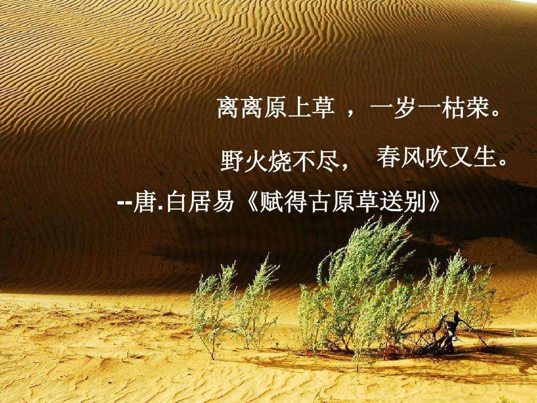 离离原上草一岁一枯荣中的反义词