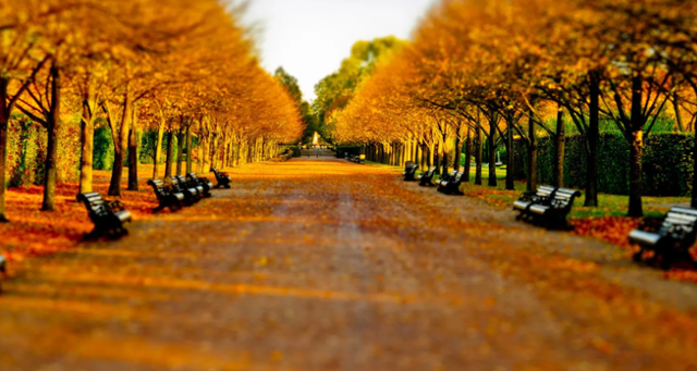 1mb的照片尺寸是多大