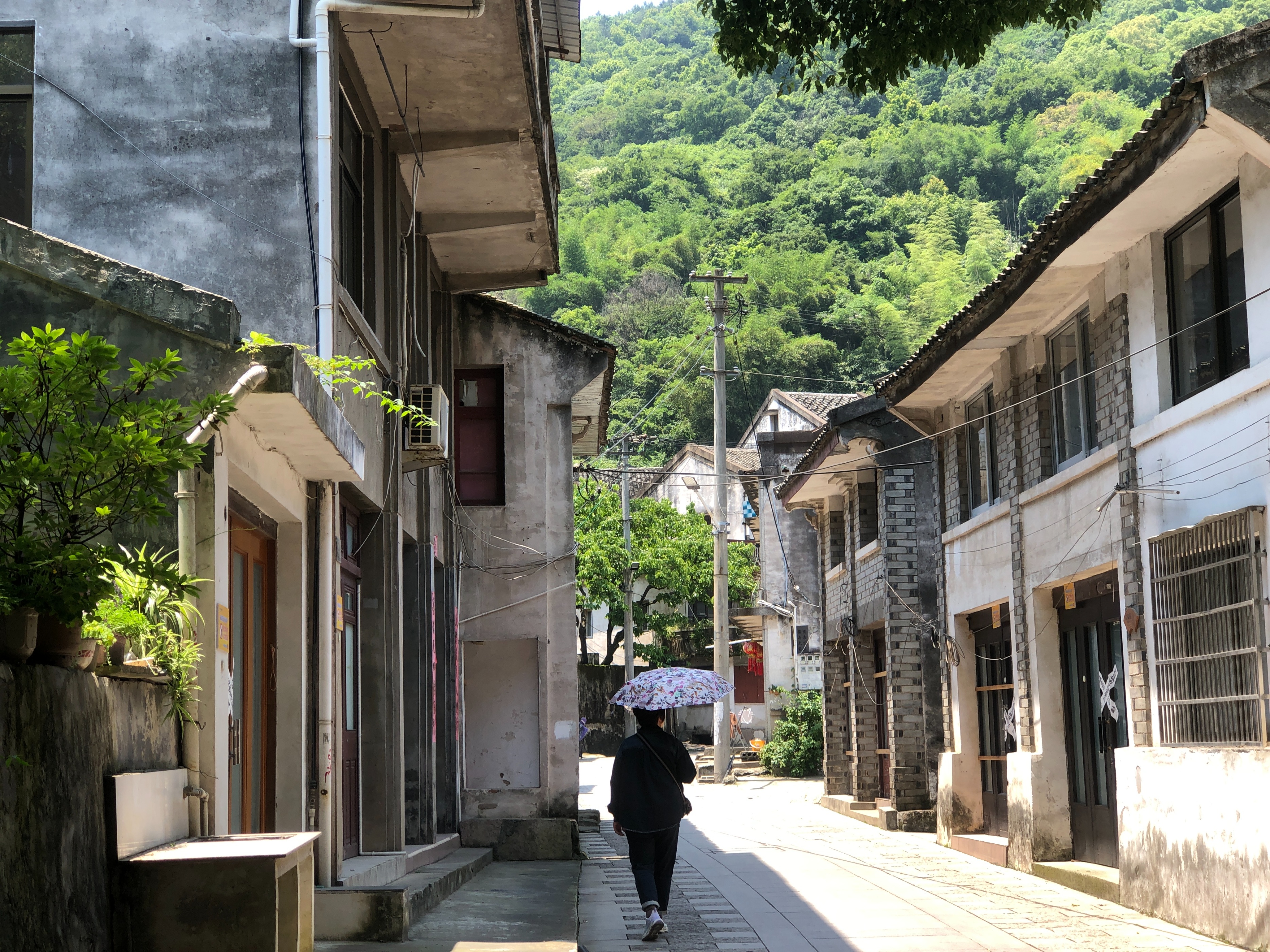 温州平阳坡南老街图片