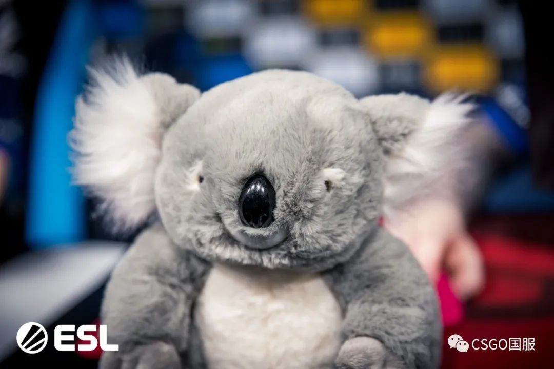 【世界第一Vitality首日双败回家!今天LVG与C9、NaVi与FaZe生死战】