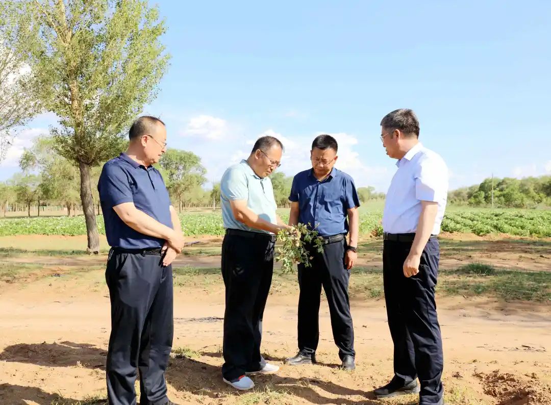 武玉亮调研乡村振兴和厕所革命工作