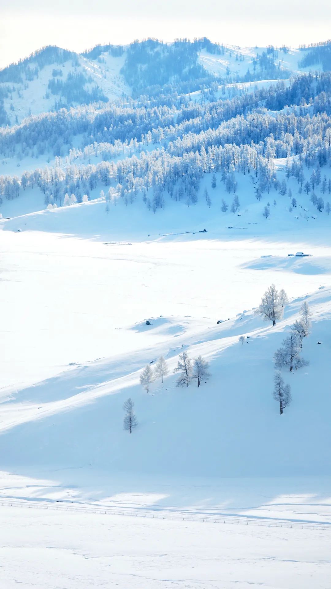 苏州女子多次到达冬季的新疆,这些雪景太美了!张张都是高清屏保