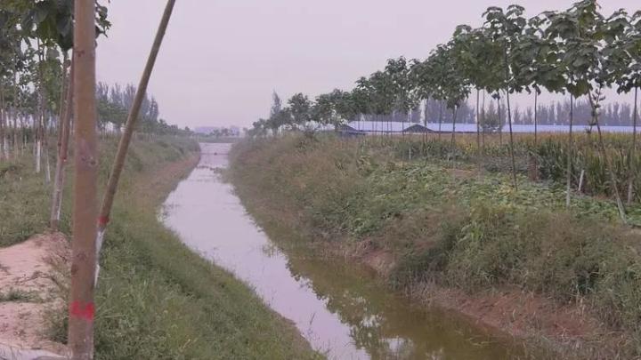 市人大原主任朱志武一行来邱县调研重点项目建设等工作