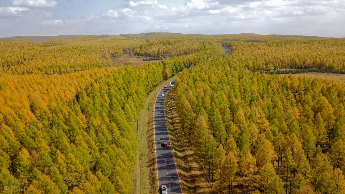 塞罕坝新老对比:美景的传承与变化