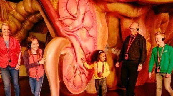 荷兰"重口味"博物馆,内部人体结构逼真,女游客惊恐不敢看