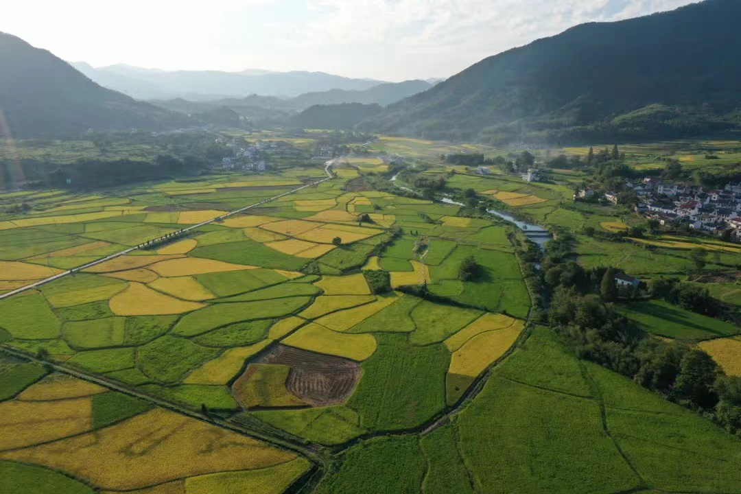 黄山区新丰乡图片