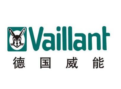 vaillant威能壁挂炉显示f29故障代码原因解说及f29解决方法