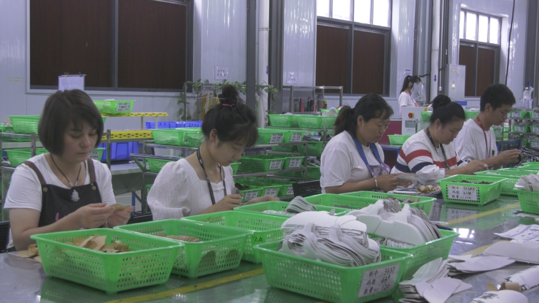 上蔡荣辉:有种荣幸"凤还巢"