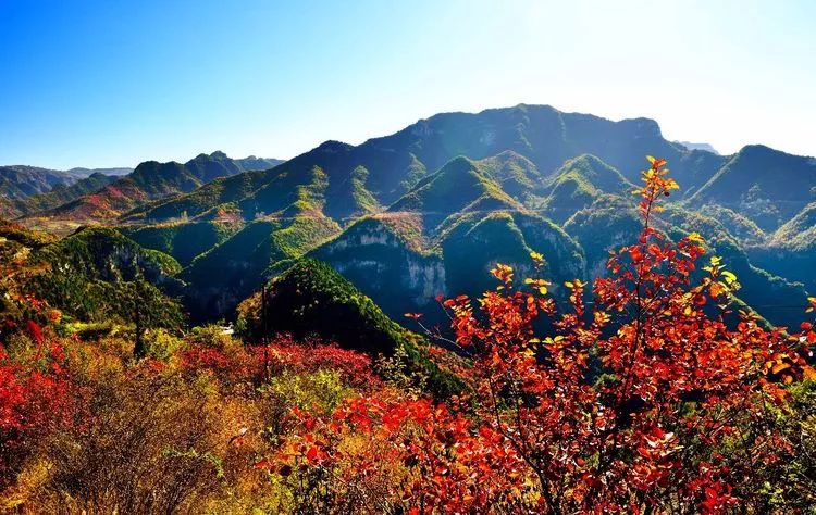 「晋城」最美不过山里泉的秋天