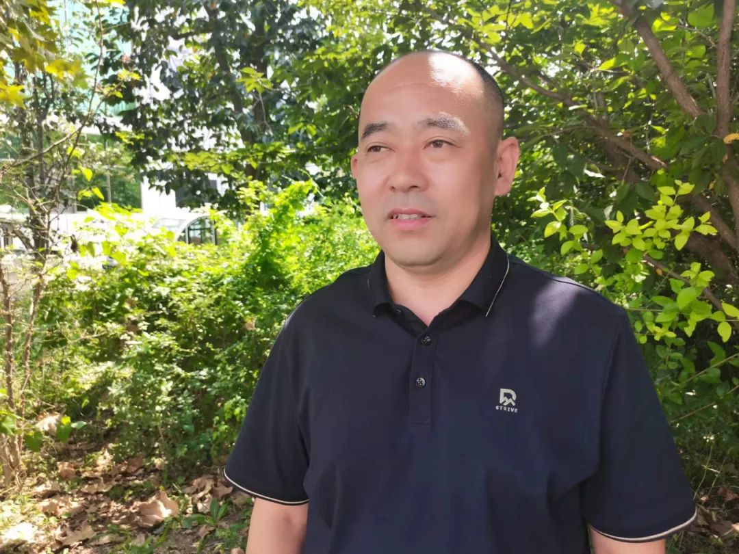 曹县仵楼镇:故道生态产业兴 乡村振兴谱新曲