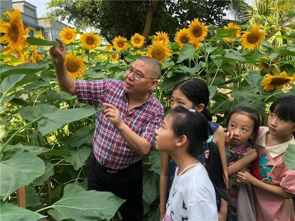 葵園裡的幸福時光,成都龍祥路小學讓