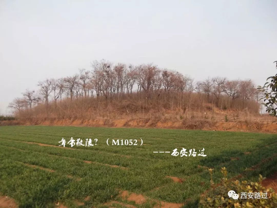 东汉帝陵 汉章帝敬陵(m1052(西安路过)