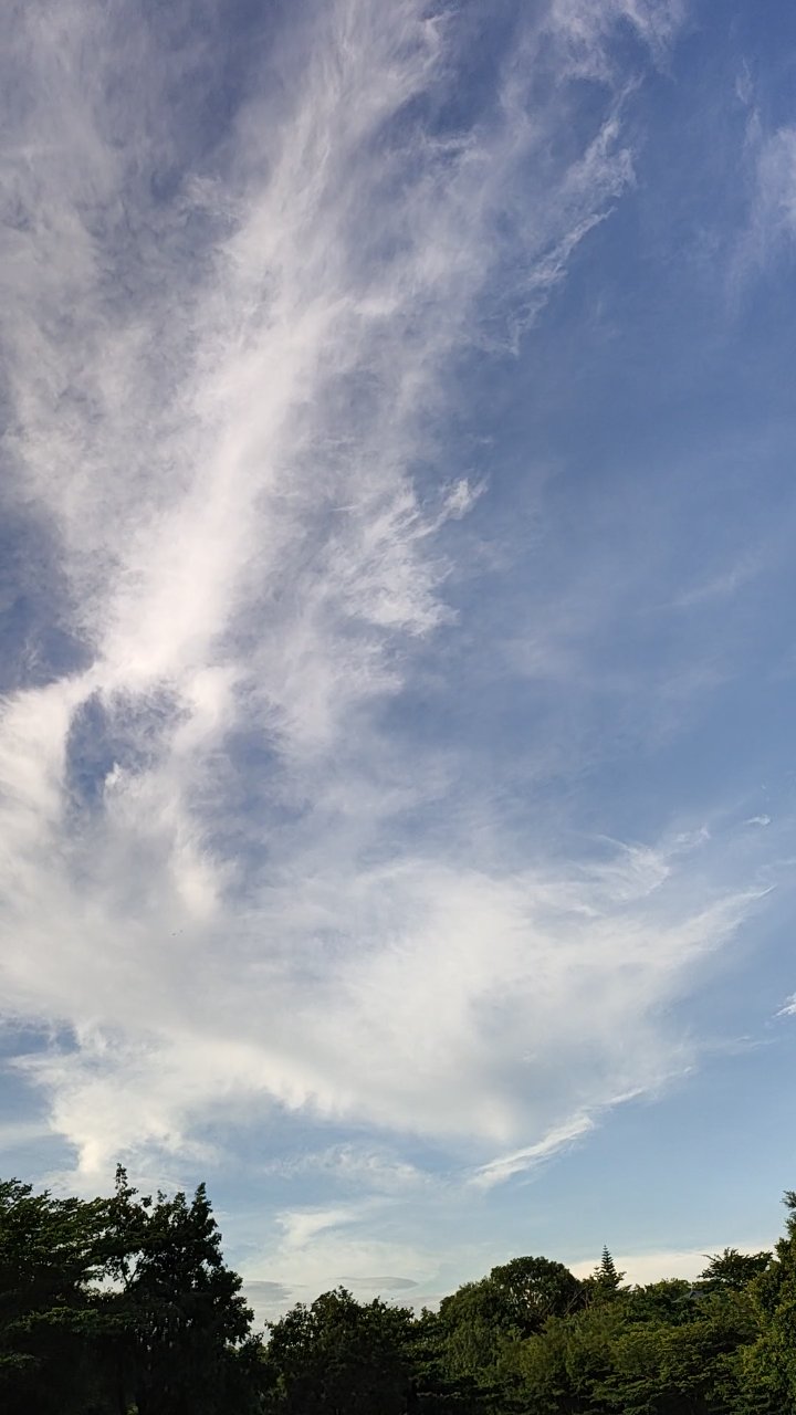 雨后晴天,抬起头就能看到美丽的天空