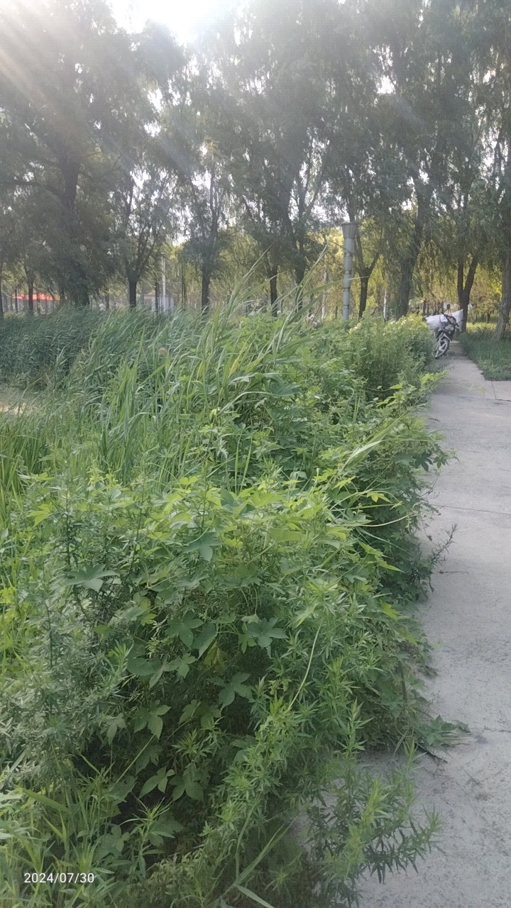 滦南县北河公园一游