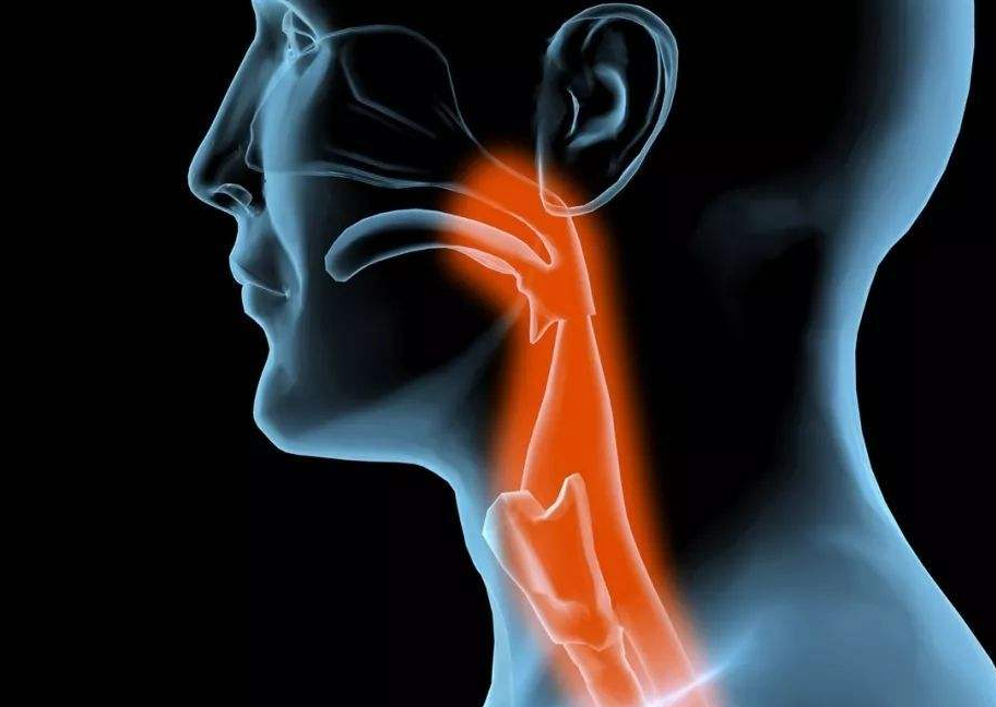 喉痹青少年,中年多见,外感邪气和饮食不当是主要病因,应早治疗