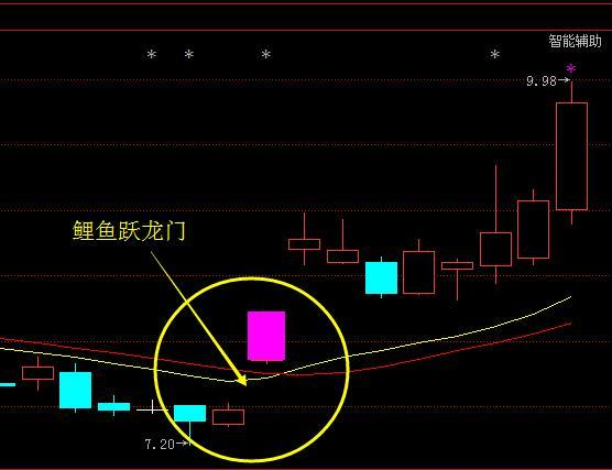 海底捞月形态图解图片