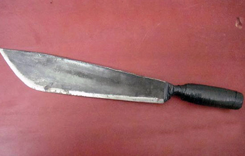 老实人的愤怒!23年辽宁64岁大爷提刀从凌晨4点杀至天亮,9死3伤