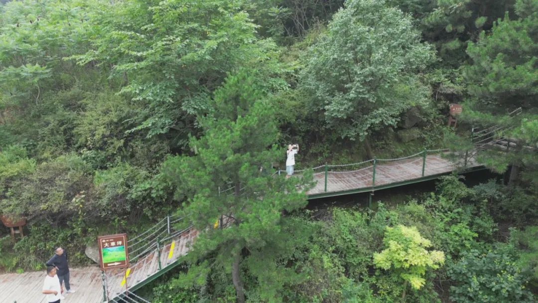 美景重启 精彩继续丨石家庄灵寿漫山花溪谷修复升级 体验感安全系数