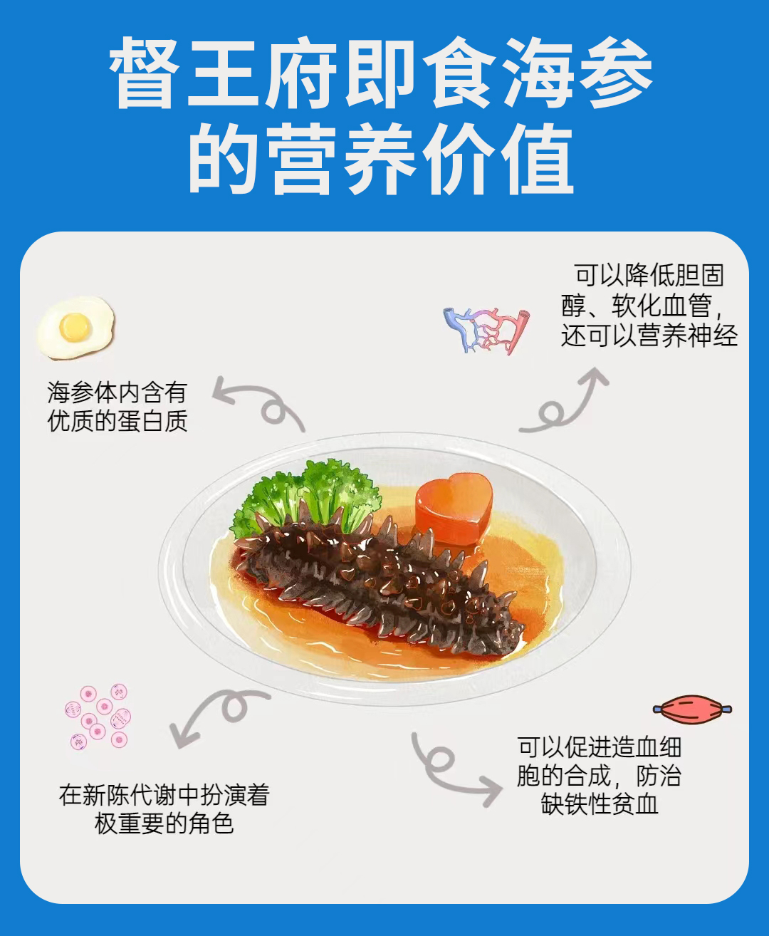 督王府海参怎么做最有功效和作用?督王府海参蒸蛋家常做法怎么做