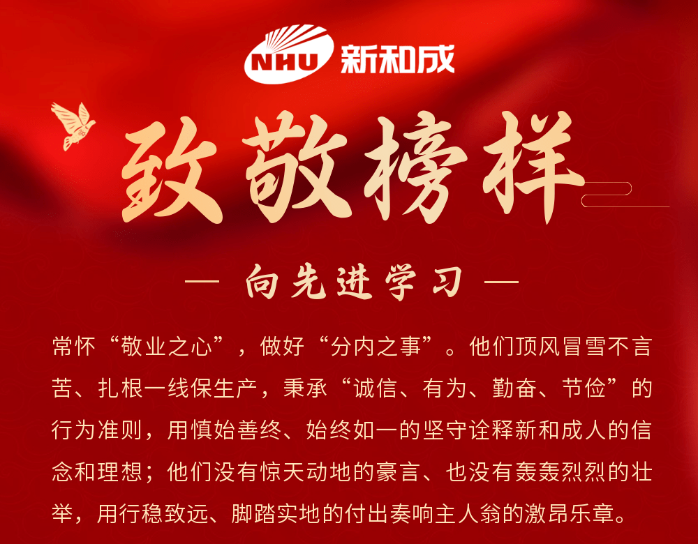 致敬榜样|把青春绽放在一线