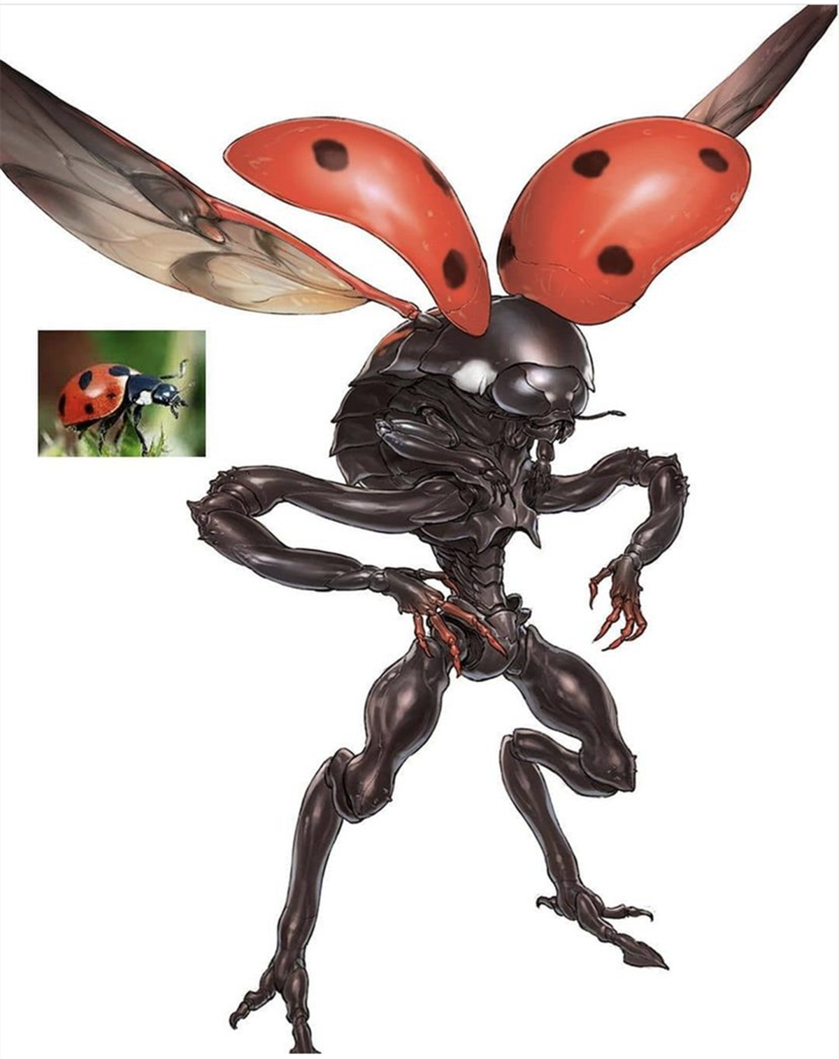 假如昆虫也能进化成为人类的模样,没有科技手段,人类还是王者吗