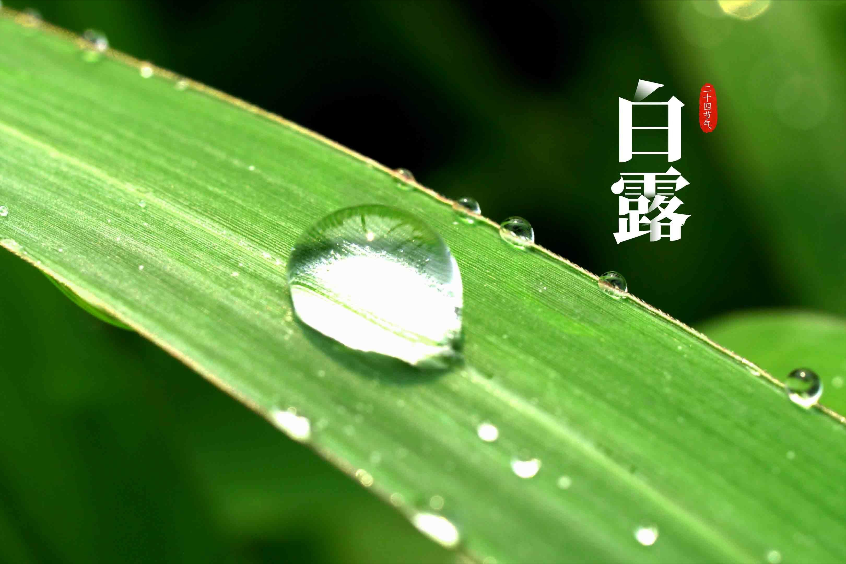 9月8号白露节气,提醒中老年人:多吃4样,健脾养胃,增强免疫力