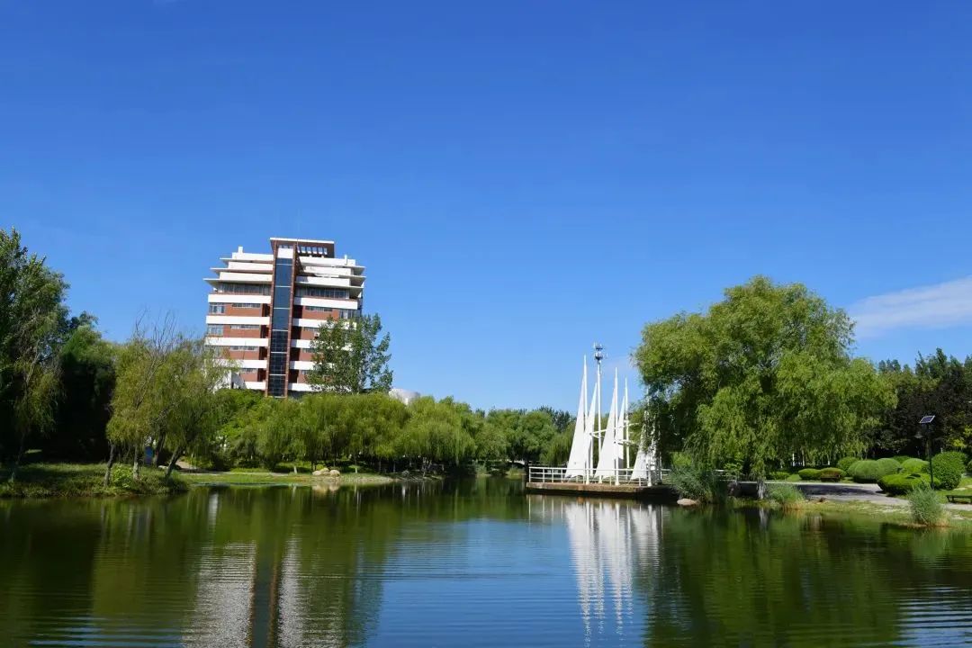 滨州学院 风景图片