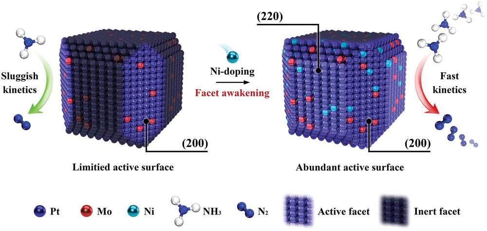 晏成林团队:巧妙激活催化剂晶面,氨燃料电池距离实用更进一步