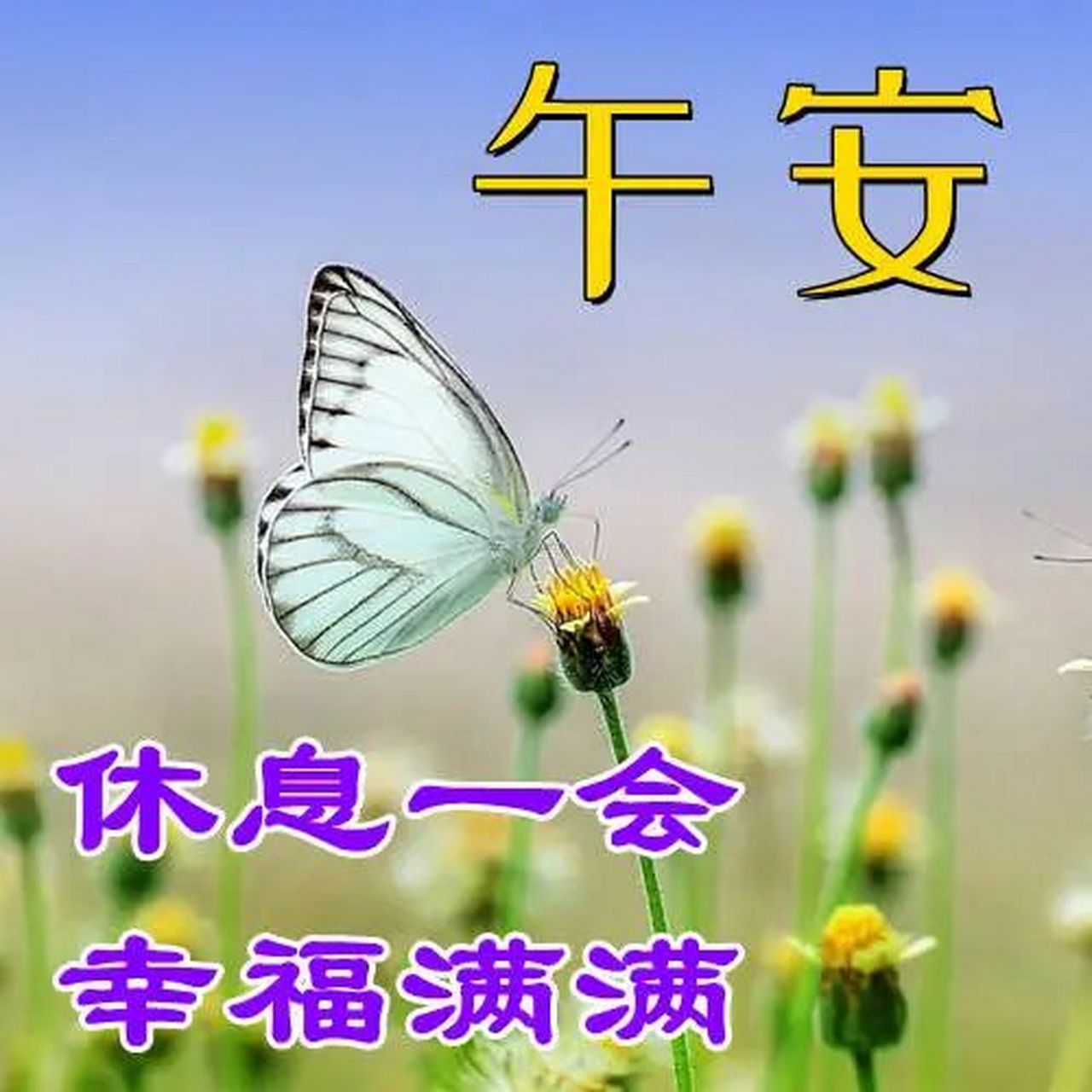 中午好,午安问候句子 中午好,该休息的时候要休息,该放松的时候要放松