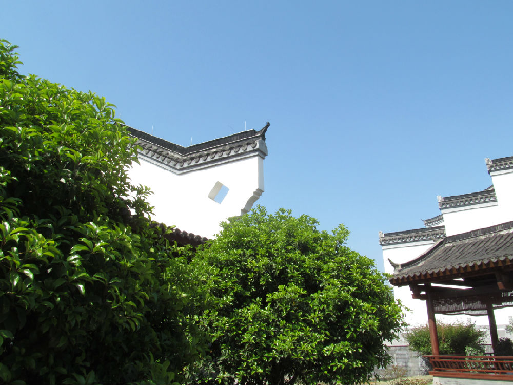 回眸间便一饮而醉——镇江宜园