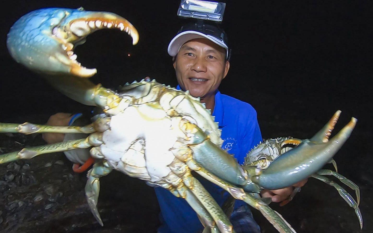 越南小哥抓五斤多一只的青蟹王,卖了一千多,青蟹这么值钱吗?