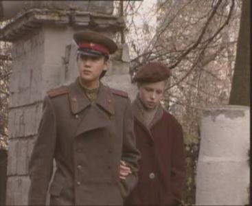 钢铁是怎样炼成的谢廖沙?