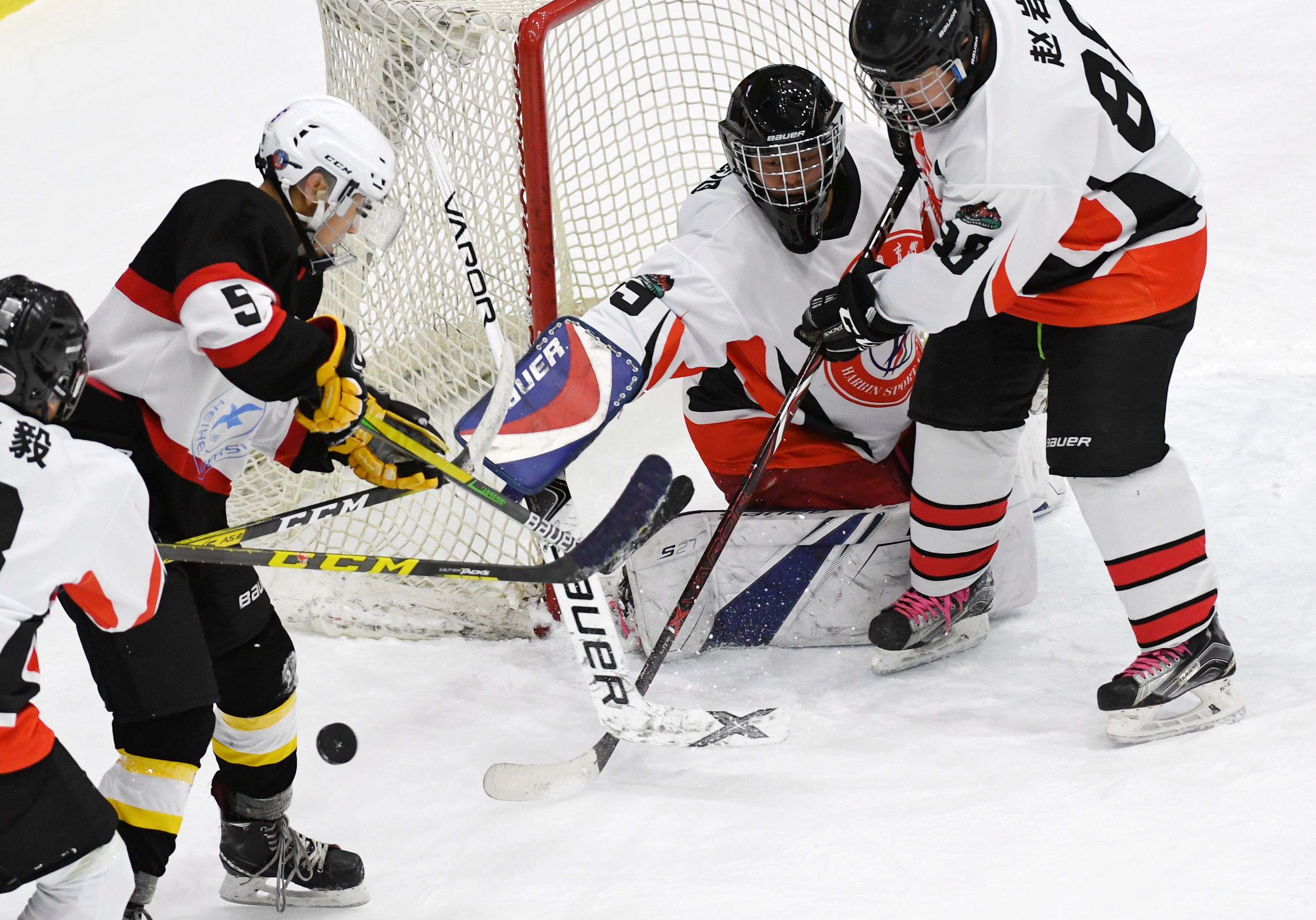 冰球——全国大学生锦标赛:黑河学院胜哈尔滨体育学院