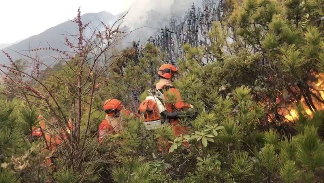 3年前凉山大火,牺牲的扑火英雄,搜救时遗体仍然紧紧抱在一起