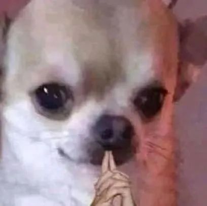 黑猫厨房:传说中和绵羊料理并列美食区,两大搞笑女?