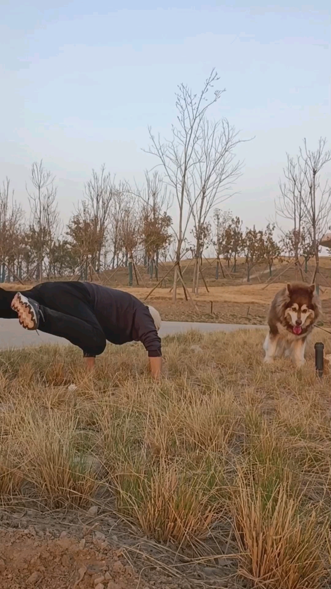 户外健身打卡下斜蜘蛛俯卧撑 #户外运动 #户外健身 #户外-度小视