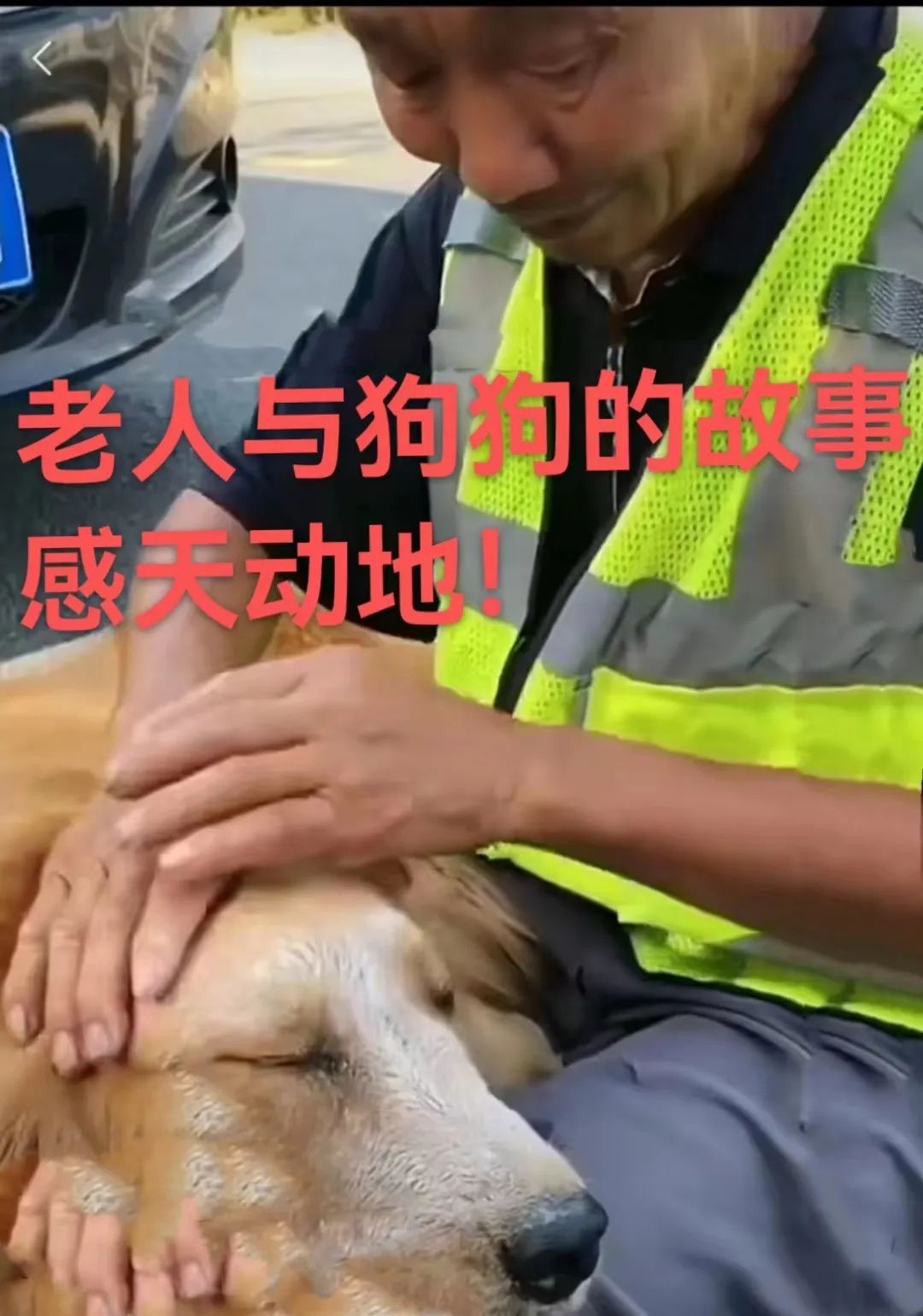 感天动地狗狗:你救我一命,我替你挡灾!老人与狗的故事让人泪目